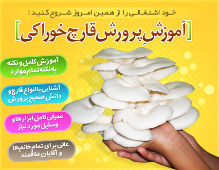 پکیج کامل و جامع آموزش پرورش قارچ به زبان فارسی